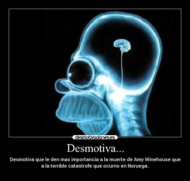 carteles estupidez desmotivaciones