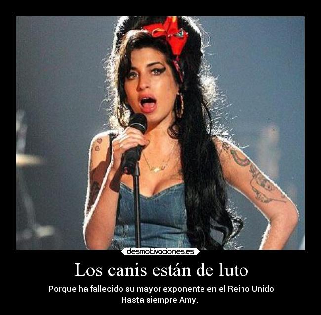 Los canis están de luto - 