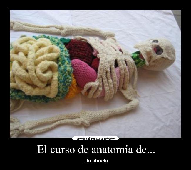 carteles ferminelfiero desmotivaciones