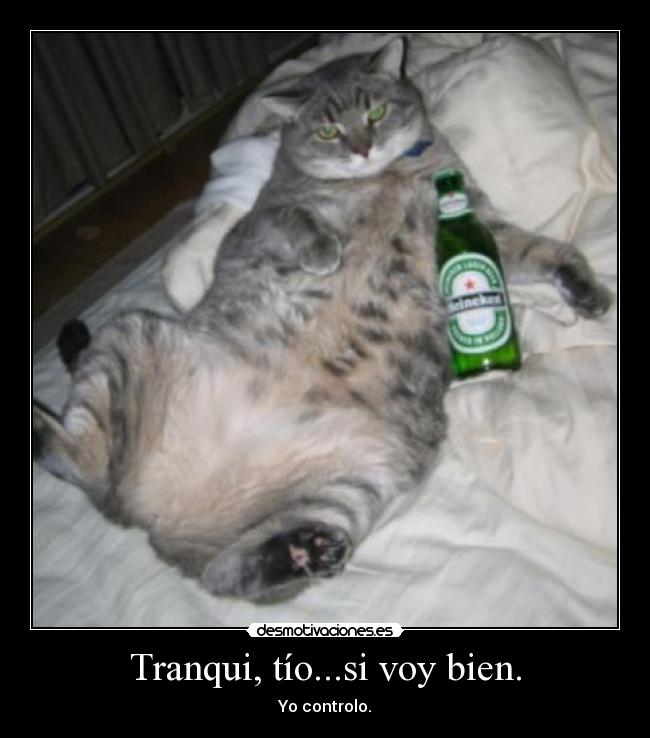 Tranqui, tío...si voy bien. -