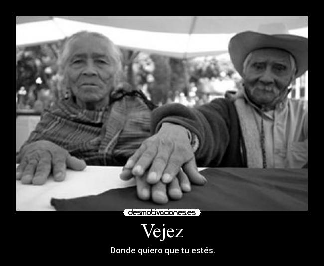 Vejez - 