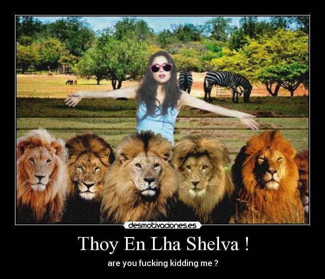 carteles atontadachoniselvaare you fucking kidding desmotivaciones