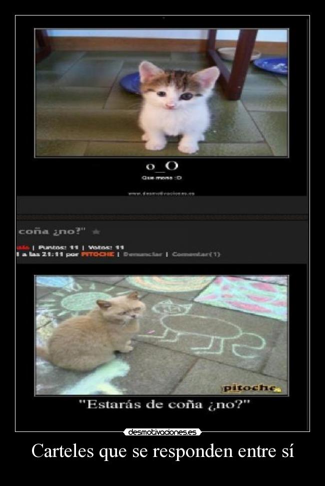 Carteles que se responden entre sí -