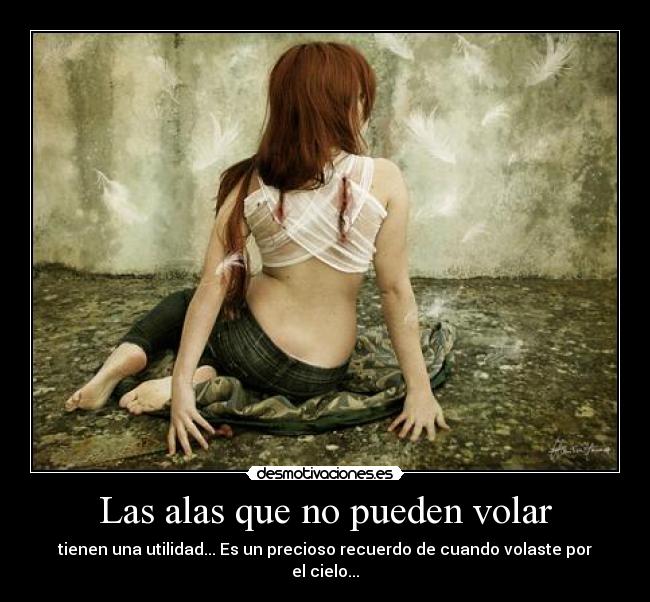 Las alas que no pueden volar - tienen una utilidad... Es un precioso recuerdo de cuando volaste por el cielo...