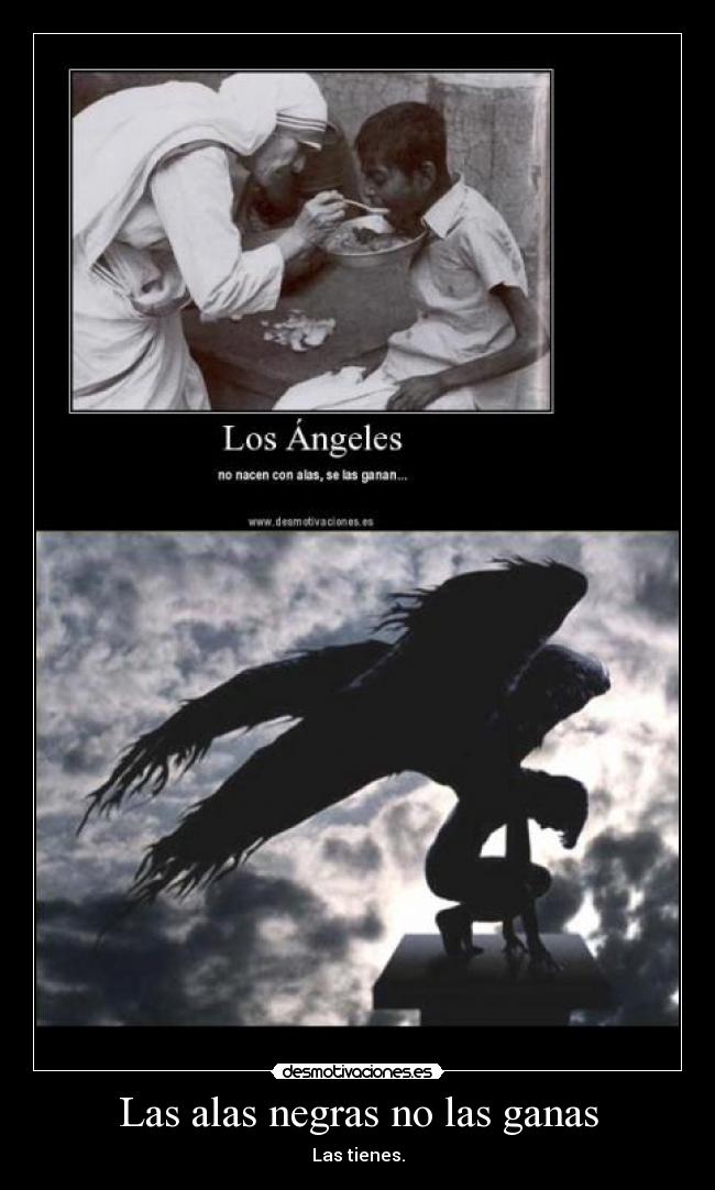 Las alas negras no las ganas -