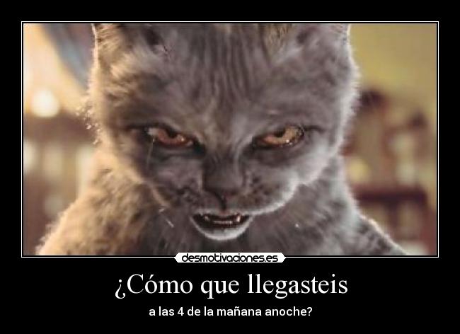 ¿Cómo que llegasteis - 