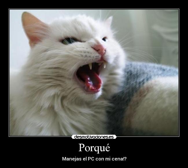 Porqué - 