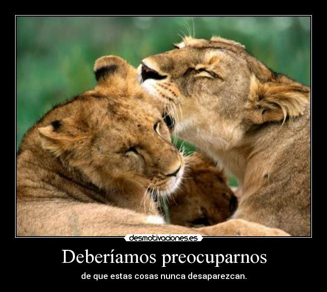 Deberíamos preocuparnos - de que estas cosas nunca desaparezcan.