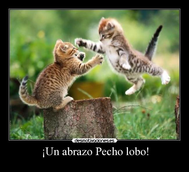 ¡Un abrazo Pecho lobo! -