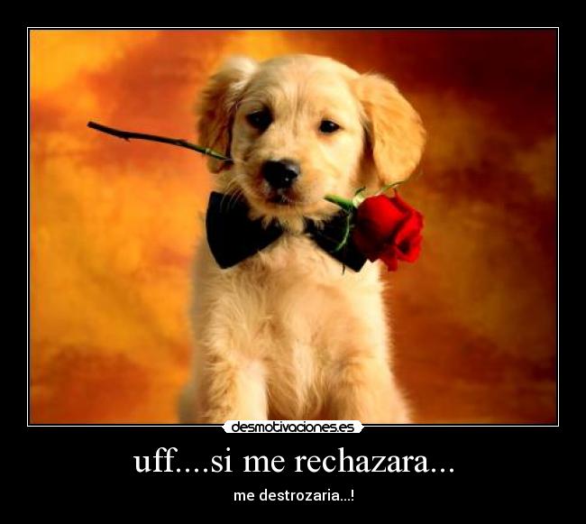 uff....si me rechazara... - 