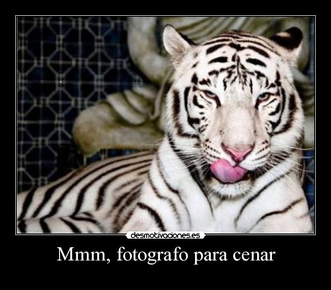 Mmm, fotografo para cenar -