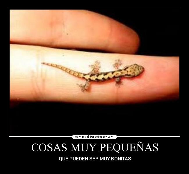 COSAS MUY PEQUEÑAS - QUE PUEDEN SER MUY BONITAS
