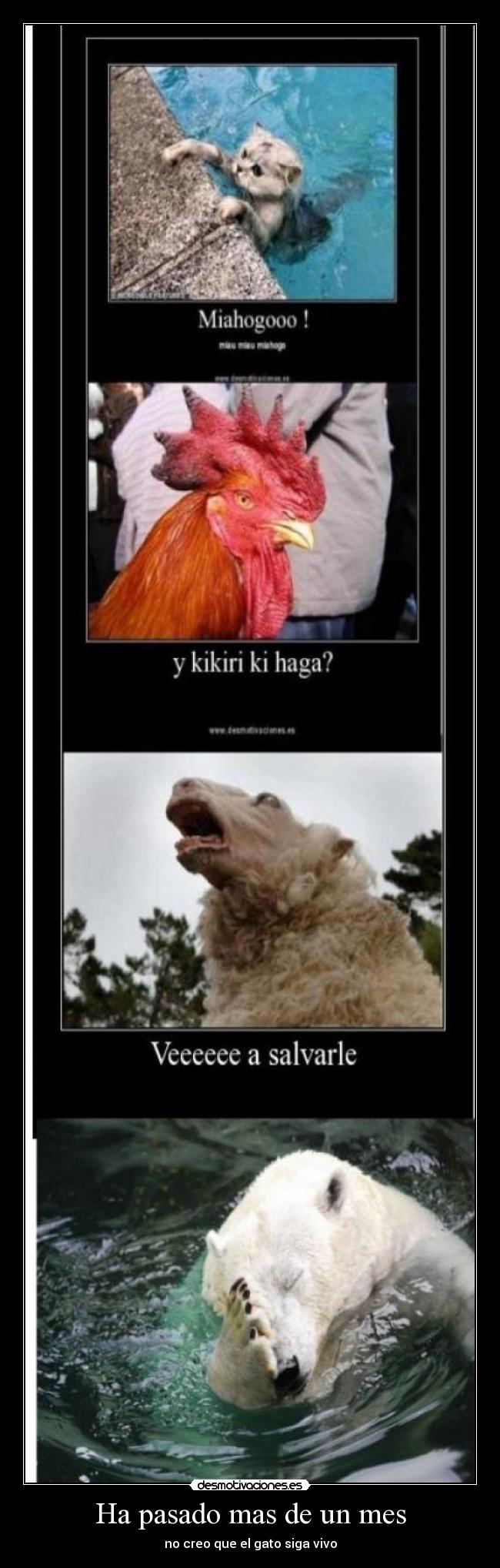 Ha pasado mas de un mes -