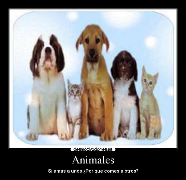 Animales -