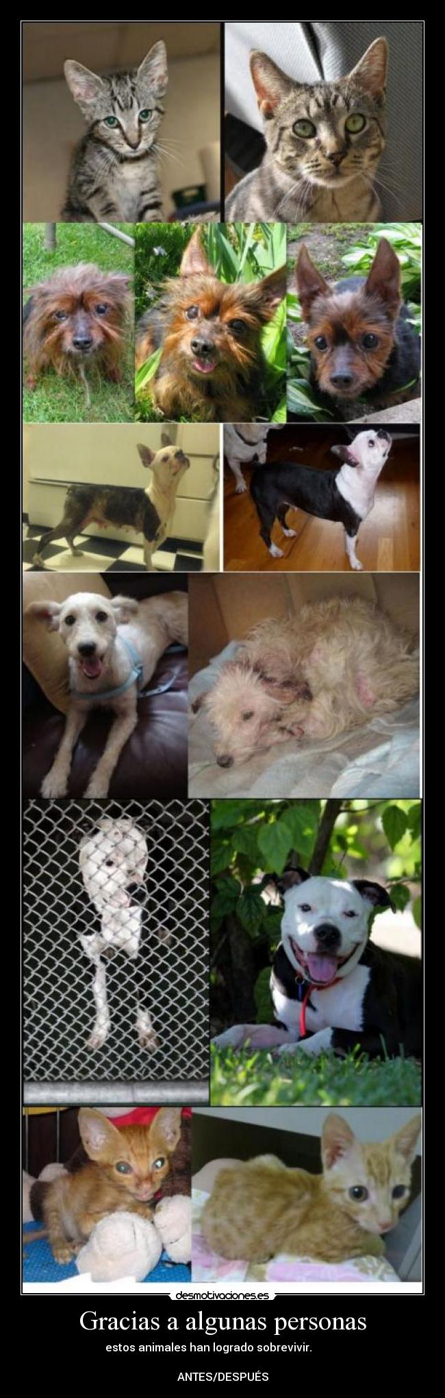 Gracias a algunas personas -