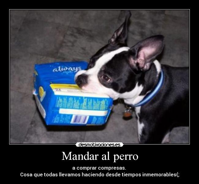 Mandar al perro - a comprar compresas. 
Cosa que todas llevamos haciendo desde tiempos inmemorables(;