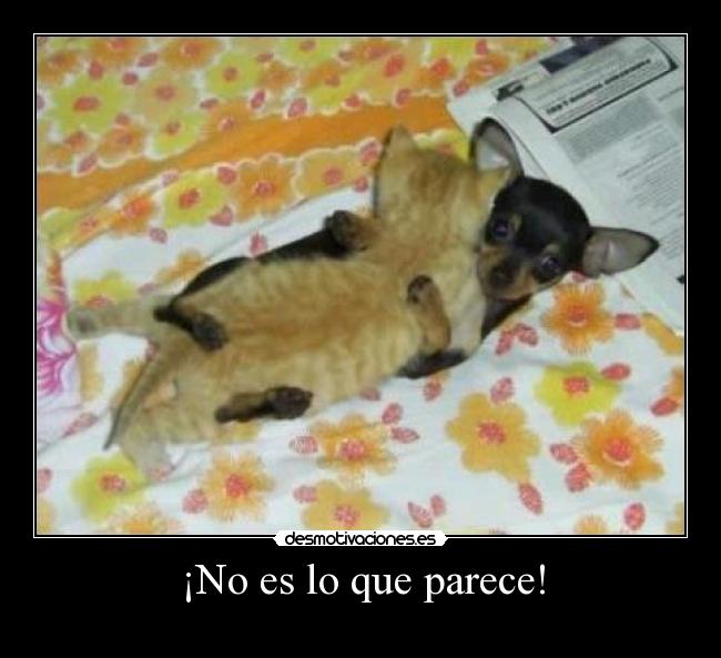 ¡No es lo que parece! -