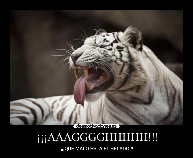 ¡¡¡AAAGGGGHHHHH!!! -