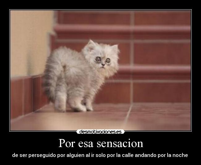 Por esa sensacion - de ser perseguido por alguien al ir solo por la calle andando por la noche