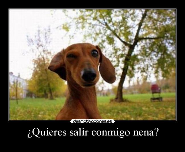 ¿Quieres salir conmigo nena? -