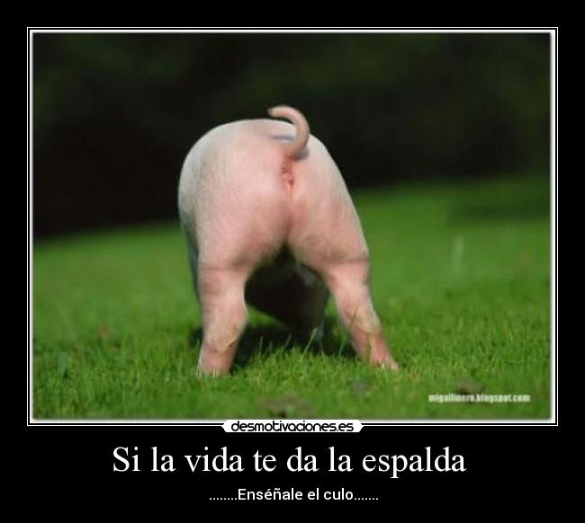 Si la vida te da la espalda -