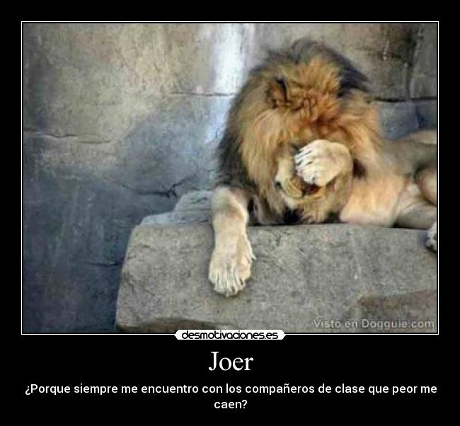 Joer -