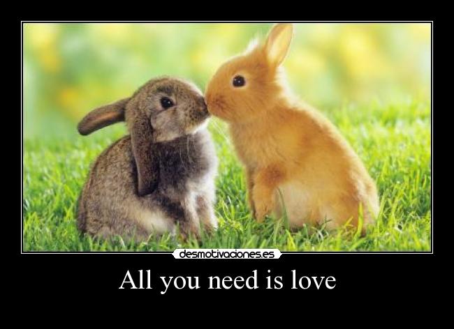 All you need is love - 