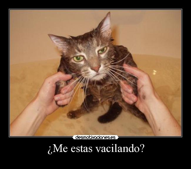 ¿Me estas vacilando? -