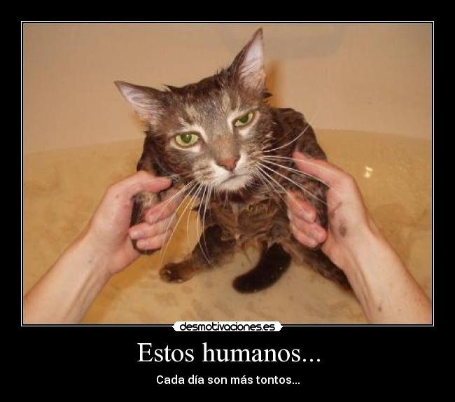 Estos humanos... - 