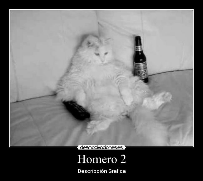Homero 2 - Descripción Grafica