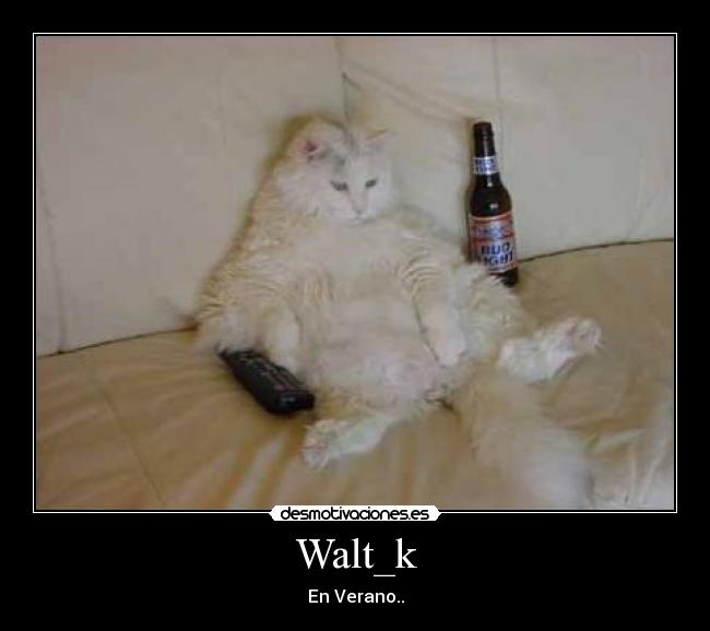 Walt_k -
