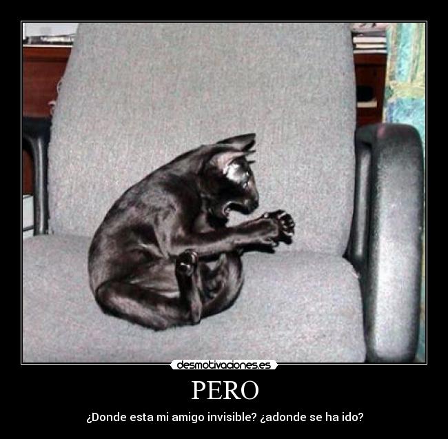 PERO - ¿Donde esta mi amigo invisible? ¿adonde se ha ido?