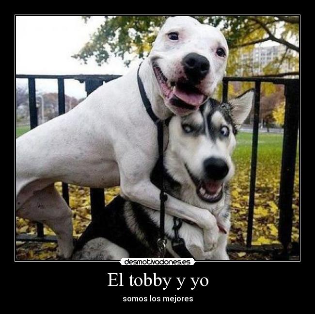 El tobby y yo -