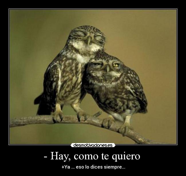 - Hay, como te quiero  - +Ya ... eso lo dices siempre...