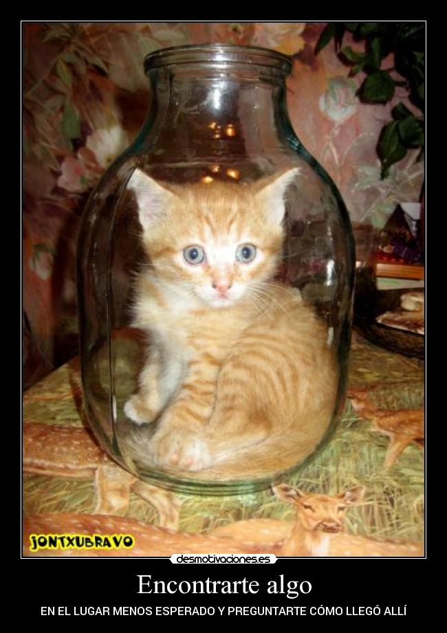 carteles jonrebe90 encontrarte algo lugar menos esperado preguntarte como llego alli desmotivaciones
