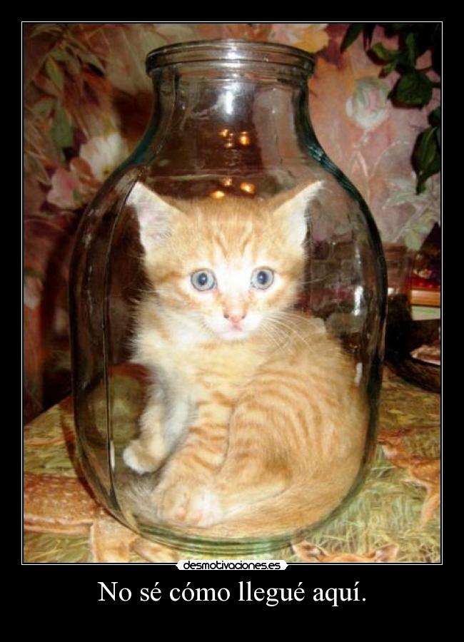 No sé cómo llegué aquí. - 