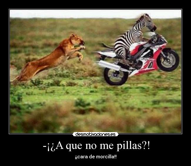 -¡¿A que no me pillas?! - 