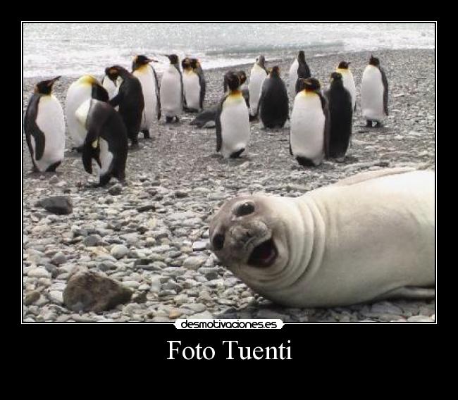 Foto Tuenti -