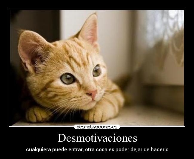 Desmotivaciones - cualquiera puede entrar, otra cosa es poder dejar de hacerlo