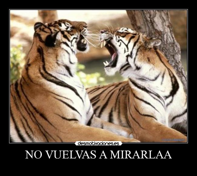 NO VUELVAS A MIRARLAA -