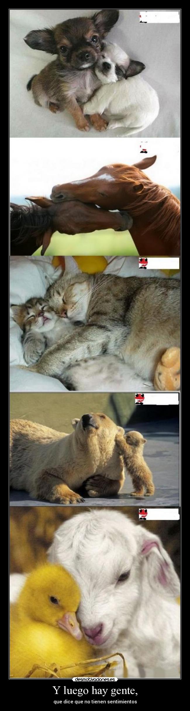 Y luego hay gente, -