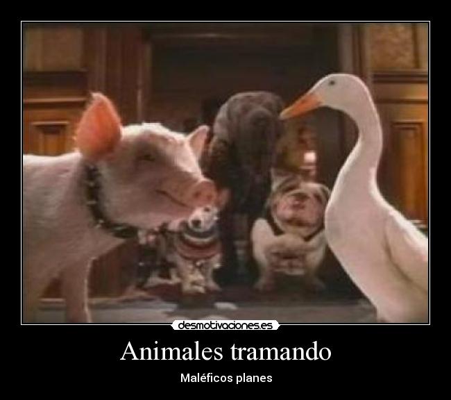 Animales tramando - Maléficos planes