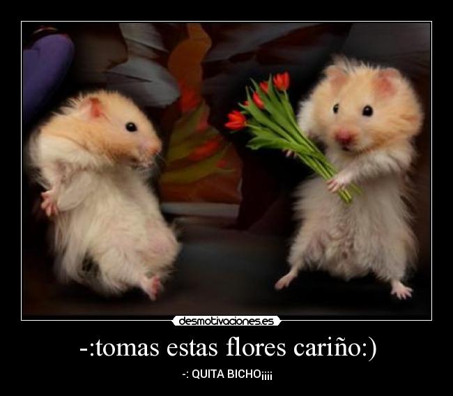 -:tomas estas flores cariño:) - -: QUITA BICHO¡¡¡¡