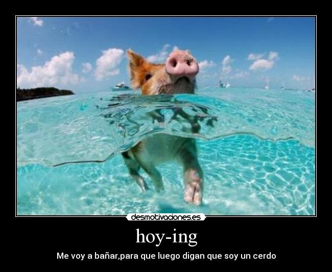 hoy-ing - Me voy a bañar,para que luego digan que soy un cerdo