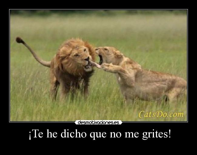 carteles tigres gritar desmotivaciones
