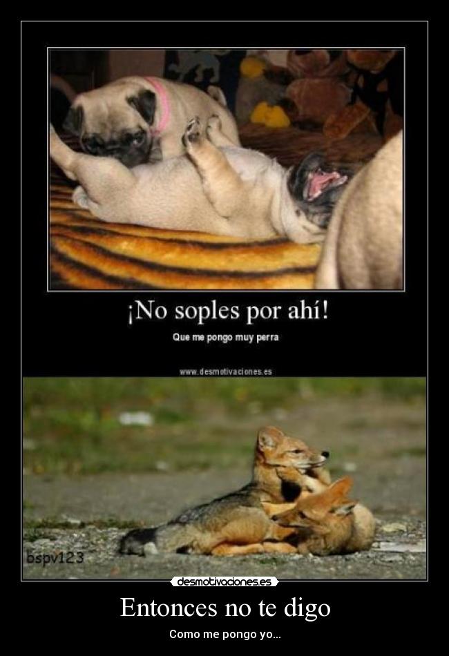 Entonces no te digo -