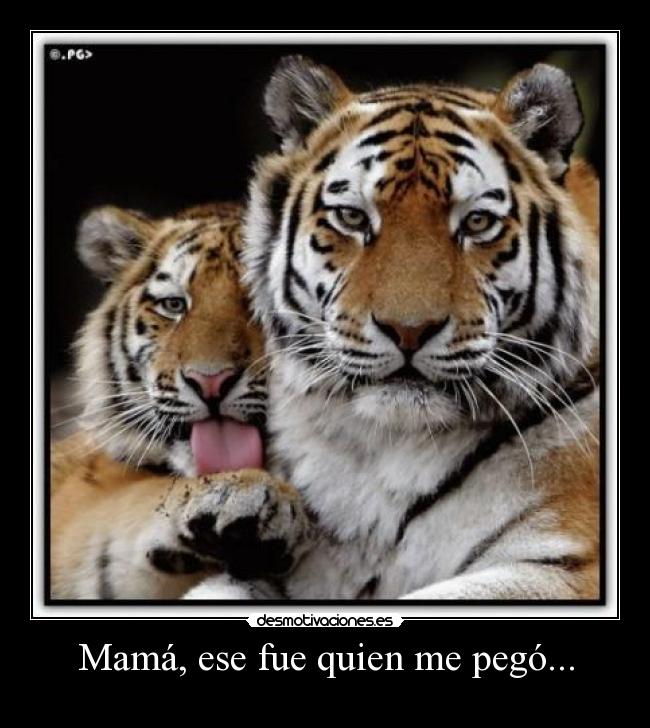 Mamá, ese fue quien me pegó... -