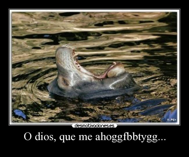 O dios, que me ahoggfbbtygg... -