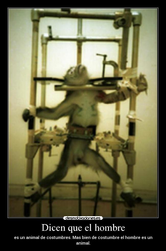 Dicen que el hombre -