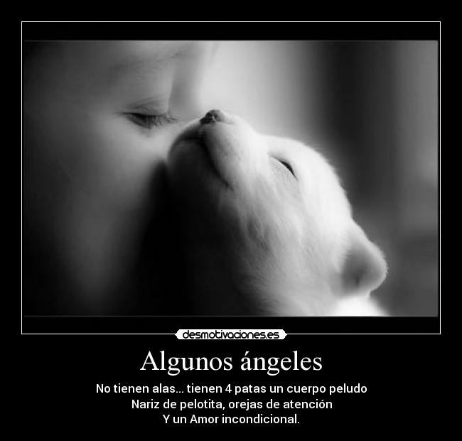 carteles jessiik desmotivaciones